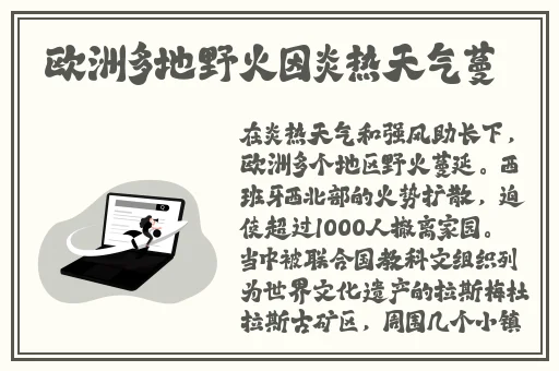 同城约会的app哪个免费